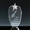 Fusion Crystal Award 8 inch Opal Star, Single, Velvet Casket